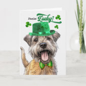 Glen of Imaal Terrier Dog Lucky St Patrick's Day Feestdagen Kaart (Voorkant)