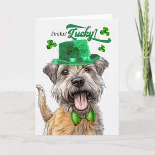 Glen of Imaal Terrier Dog Lucky St Patrick's Day Feestdagen Kaart