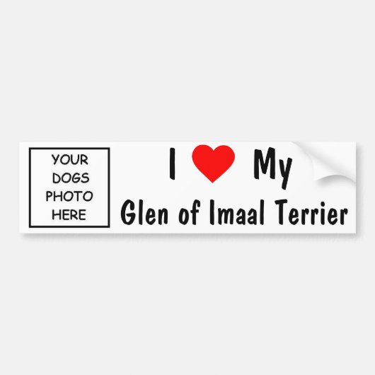 Glen of Imal Terrier Bumpersticker (Voorkant)