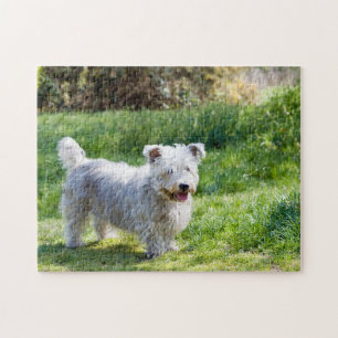 Glen of Imal Terrier dog Legpuzzel