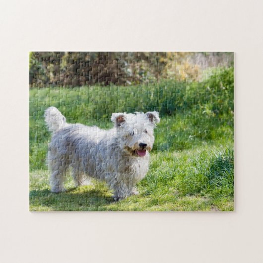 Glen of Imal Terrier dog Legpuzzel (Horizontaal)