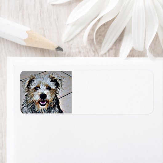 Glen of Imal Terrier Etiket (Insitu)