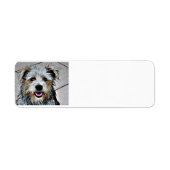 Glen of Imal Terrier Etiket (Voorkant)