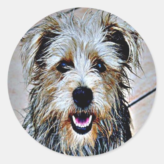 Glen of Imal Terrier Ronde Sticker (Voorkant)