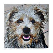 Glen of Imal Terrier Tegeltje (Voorkant)