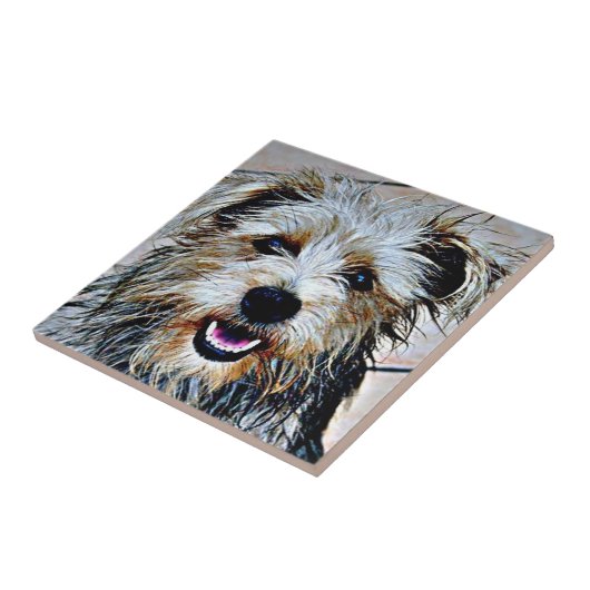 Glen of Imal Terrier Tegeltje (Zijkant)