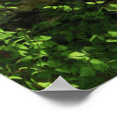 Glen of the Twins Print (Hoek)