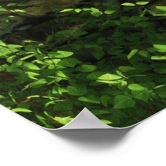 Glen of the Twins Print (Hoek)