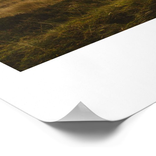 Glencoe, Schotland Poster (Hoek)