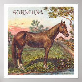 Glencona  Chestnut Racing Horse Poster