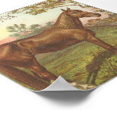 Glencona Poster (Hoek)