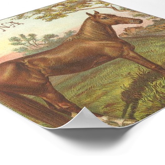 Glencona Poster (Hoek)