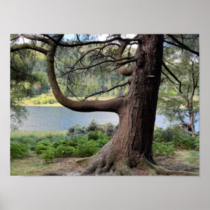 Glendalaugh Lakes County Wicklow Ierland Europa Poster