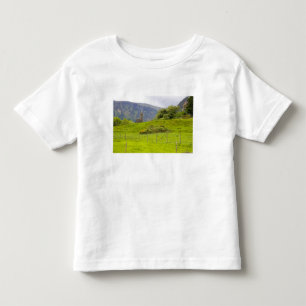 Glendalough, Ierland. Glendalough is één van Kinder Shirts