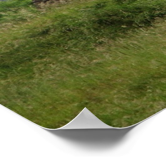 Glendalough, Ierland Poster (Hoek)