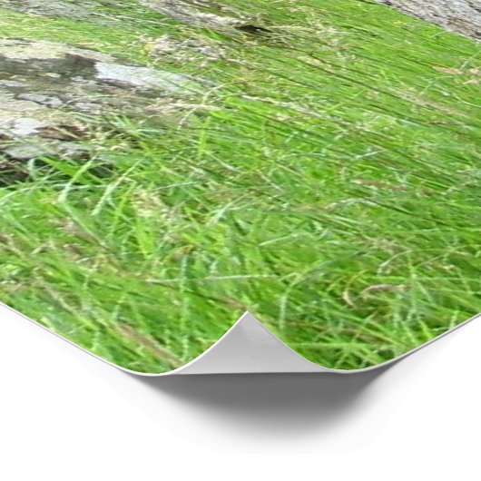 Glendalough, Ierse begraafplaats Poster (Hoek)