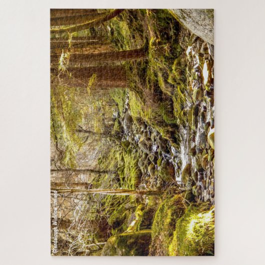 Glendalough Wicklow Ierland Legpuzzel (Verticaal)