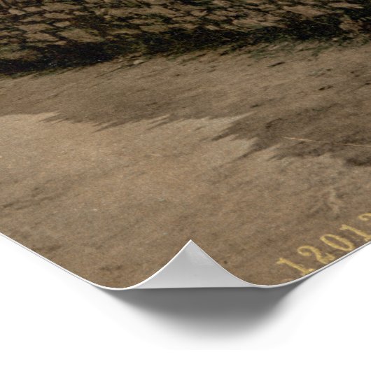 Glengariff I, County Cork Poster (Hoek)