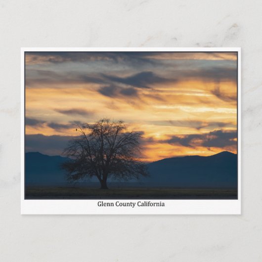 Glenn County California Sunset Postcard Briefkaart (Voorkant)