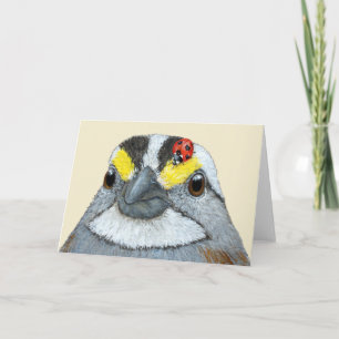 Glenn the sparrow card kaart