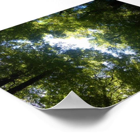 Glenorchy, NZ Poster (Hoek)