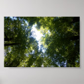 Glenorchy, NZ Poster (Voorkant)