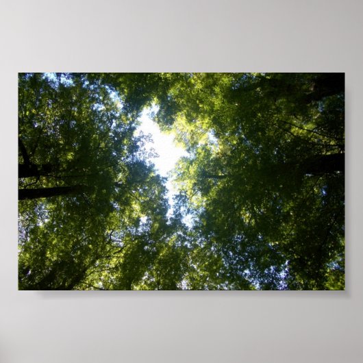 Glenorchy, NZ Poster (Voorkant)