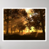 Glenwood Poster (Voorkant)