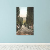 Glenwood Springs, Colorado Canvas Afdruk (Insitu (Houten vloer))