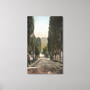 Glenwood Springs, Colorado Canvas Afdruk