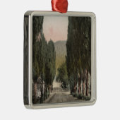 Glenwood Springs, Colorado Metalen Ornament (Rechts)