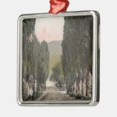 Glenwood Springs, Colorado Metalen Ornament (Links)