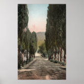 Glenwood Springs, Colorado Poster (Voorkant)