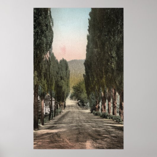 Glenwood Springs, Colorado Poster (Voorkant)