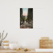 Glenwood Springs, Colorado Poster (Keuken)