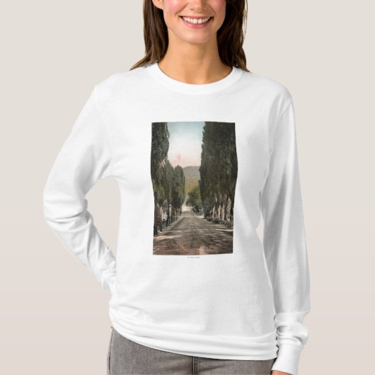 Glenwood Springs, Colorado T-shirt (Voorkant)