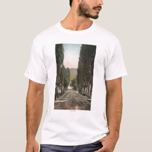 Glenwood Springs, Colorado T-shirt