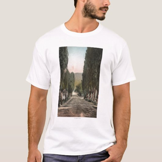 Glenwood Springs, Colorado T-shirt (Voorkant)