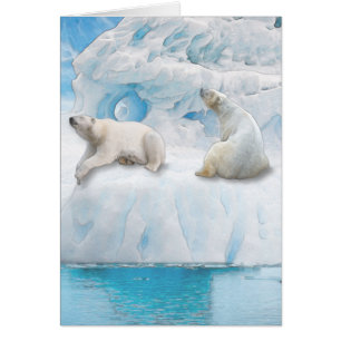 Gletsjer Beren - 5" x 7" Art Kaart