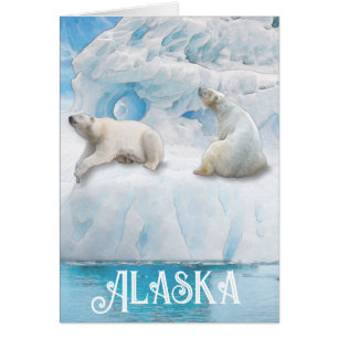 Gletsjer Beren Alaska - 5" x 7" Art Kaart
