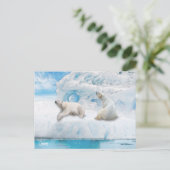 Gletsjer Beren - Briefkaart (Staand voorkant)