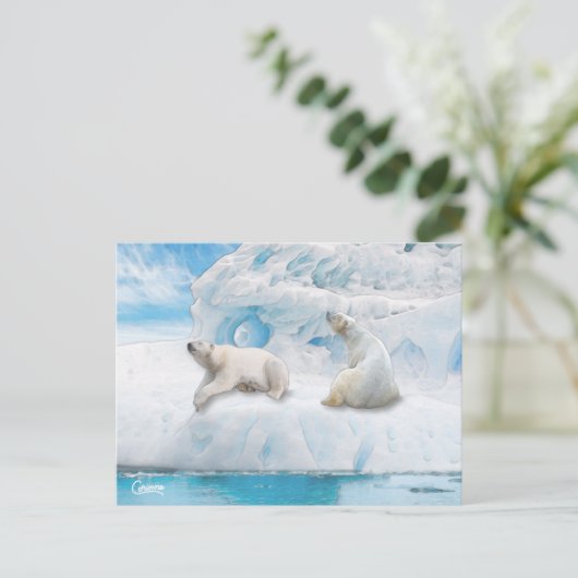 Gletsjer Beren - Briefkaart (Staand voorkant)