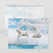 Gletsjer Beren - Briefkaart (Voorkant / Achterkant)