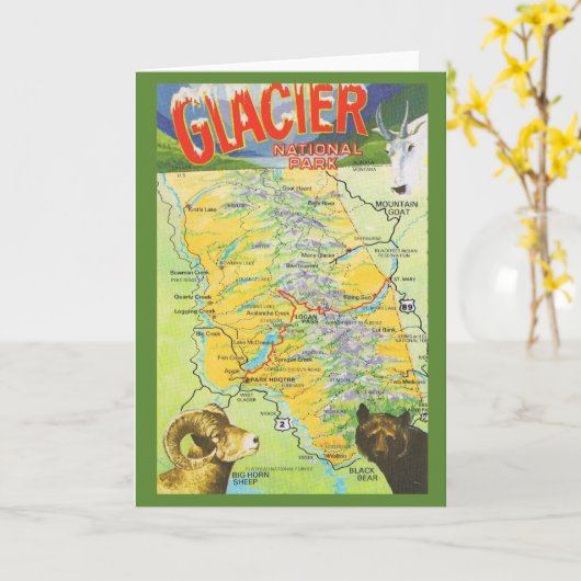 Gletsjer Nationaal Park Vintage Kaart (Gele Bloem)