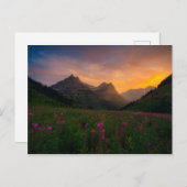 Gletsjer Wildflowers Briefkaart (Voorkant / Achterkant)