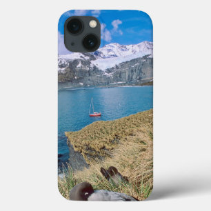 Gletsjers en zeiljacht op de achtergrond iPhone 13 hoesje