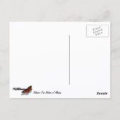 Gletsjervoedende wateren van Alaska Briefkaart (Achterkant)
