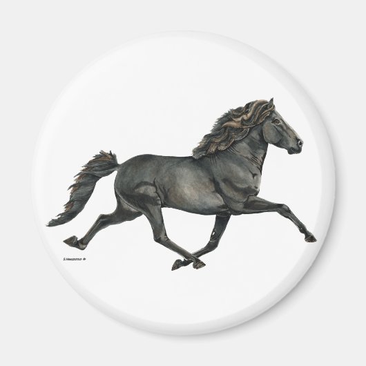 Gletta Magneet (Voorkant)