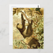 gleuzen en papegaai in Oerwoud Briefkaart (Voorkant / Achterkant)