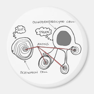 Glial Cells Magnet